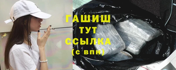 твердый Гусев