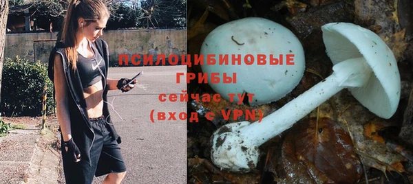 бошки Горняк