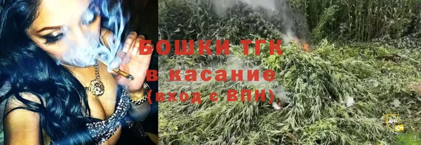 бошки Горняк