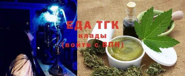 твердый Гусев