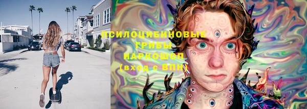бошки Горняк