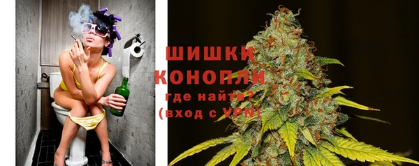 соль ск Горнозаводск