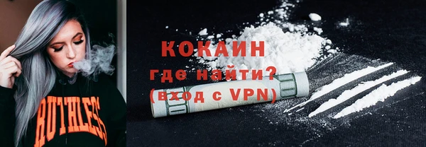 твердый Гусев