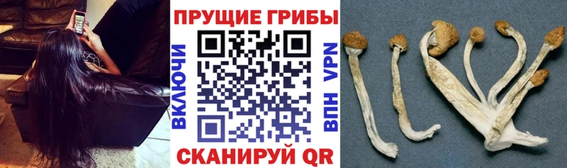 Псилоцибиновые грибы мухоморы  Купить  Рузаевка 
